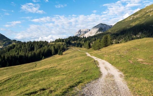 La casa dei Noci - Photo 67