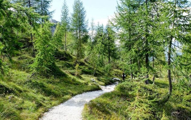 La casa dei Noci - Photo 68