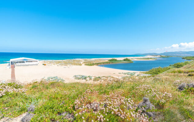 Granello di sole - Photo 31