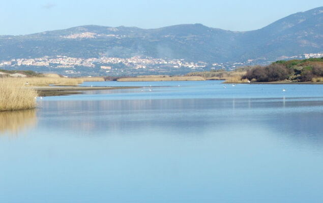 Granello di sole - Photo 34