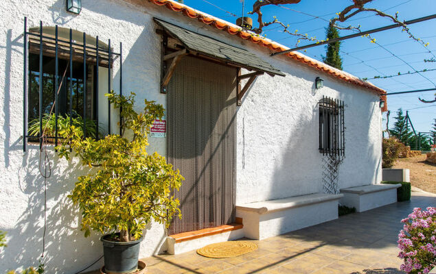 Paraje Starlight Murtas - Alpujarra - Photo 25