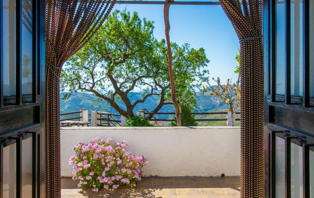 Paraje Starlight Murtas - Alpujarra - Photo 26