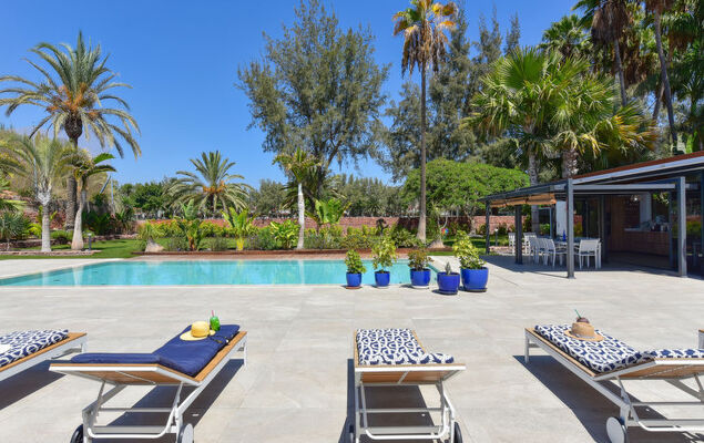 Armonia Oasis DeLuxe - Photo 10