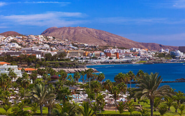 Comfy Altemar - Photo 32