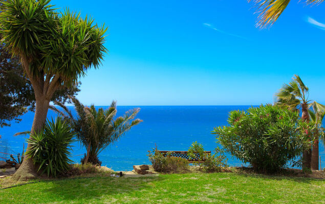 Atardecer - Photo 39