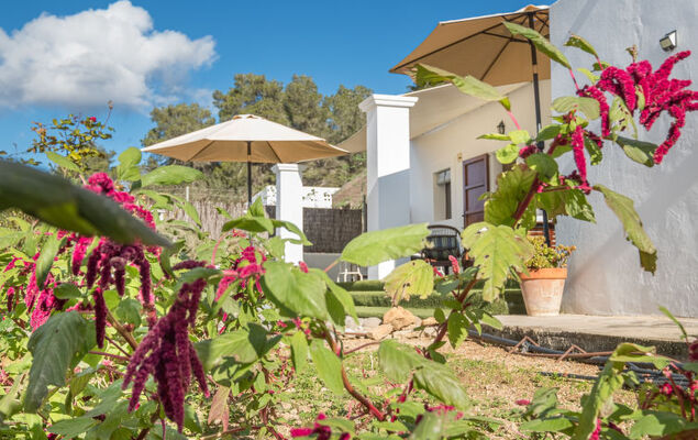 Can Verdal - Photo 33