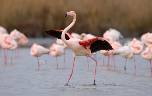 Les Terrasses du Lac - Photo 31