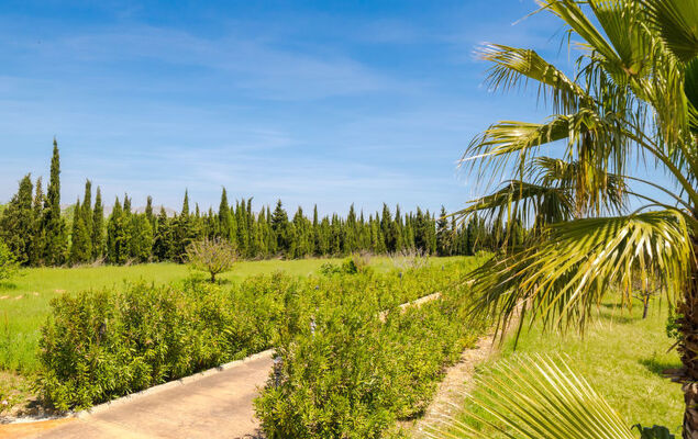 Can Banzer - Photo 29