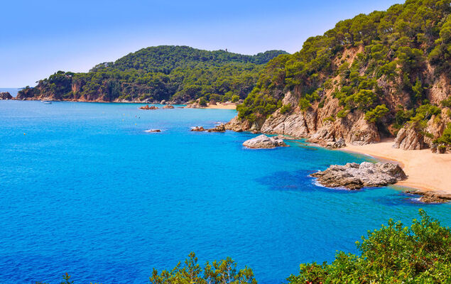 Sa Boadella Vistamar - Photo 29