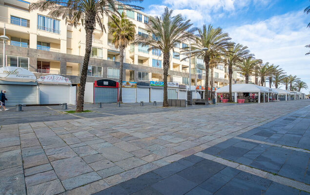 La Palme d'Or - Photo 9