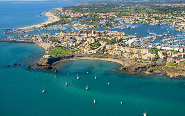 La Palme d'Or - Photo 19