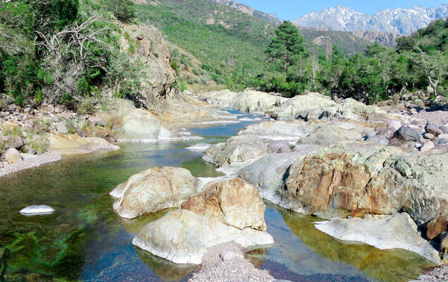 Fidiamare - Photo 29