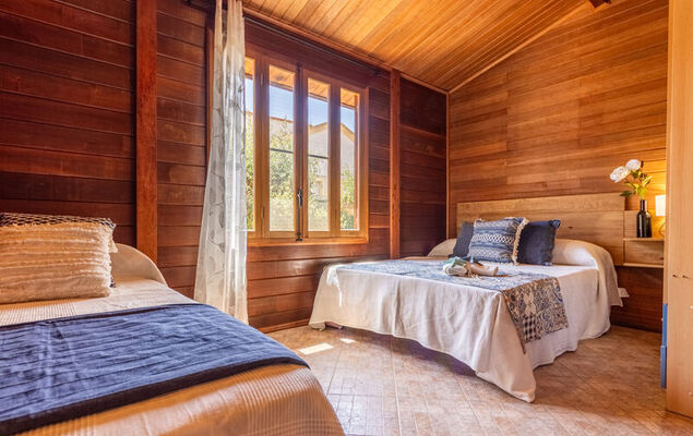 Tropical 1 - Photo 14