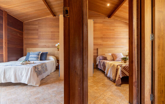 Tropical 1 - Photo 16