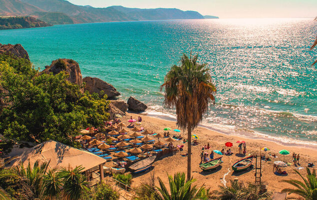 Los Olivos de Capistrano - Photo 54