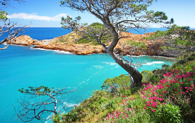 Sa Riera Beach - Photo 21