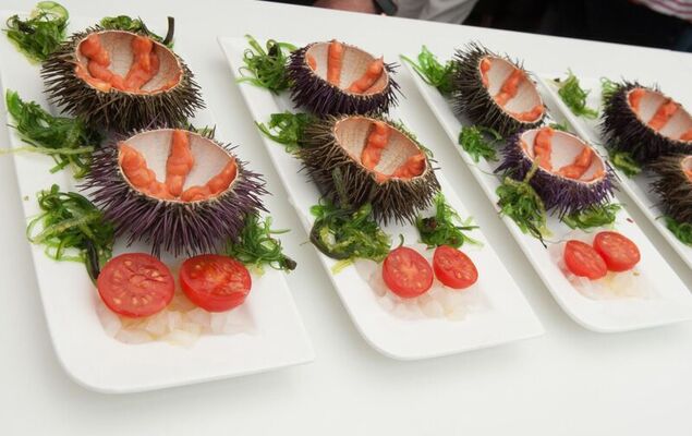 Sa Riera Bonita - Photo 41