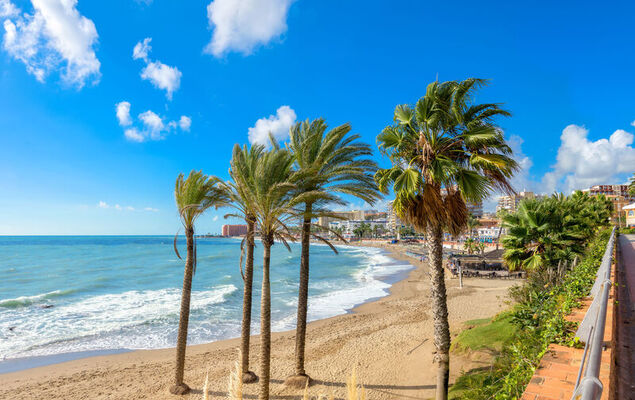 Puerto Marina - Photo 27