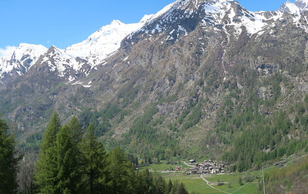 Chez Les Roset - Photo 30