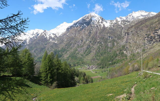 Chez Les Roset - Photo 31