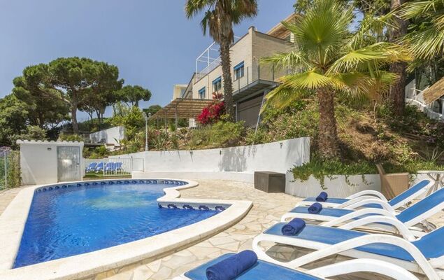 Lemon Azul - Photo 1