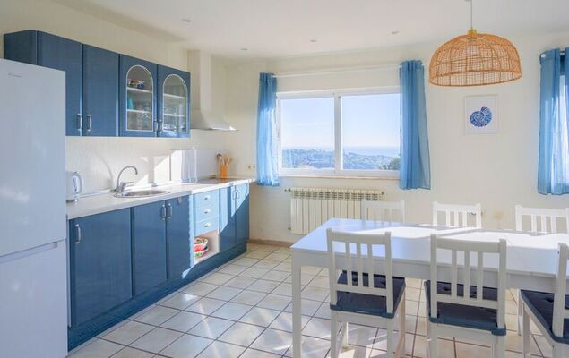 Lemon Azul - Photo 5