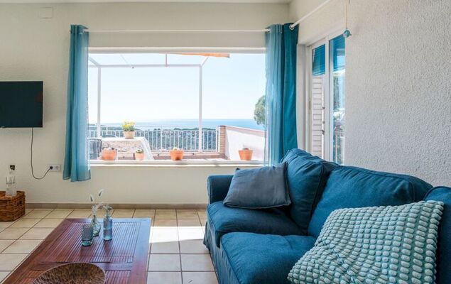 Lemon Azul - Photo 7