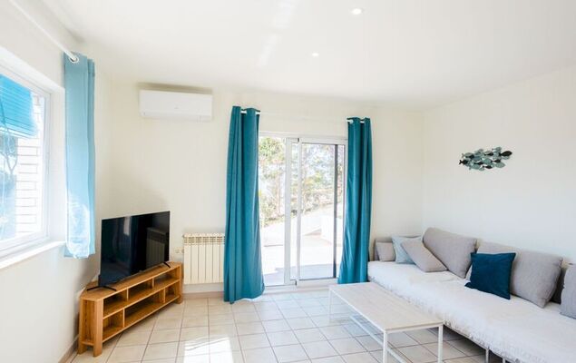 Lemon Azul - Photo 9