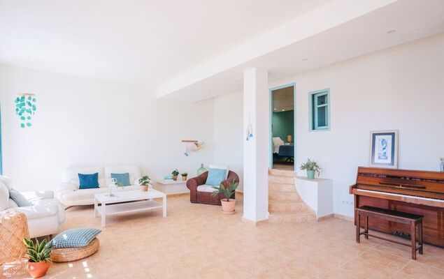 Lemon Azul - Photo 10