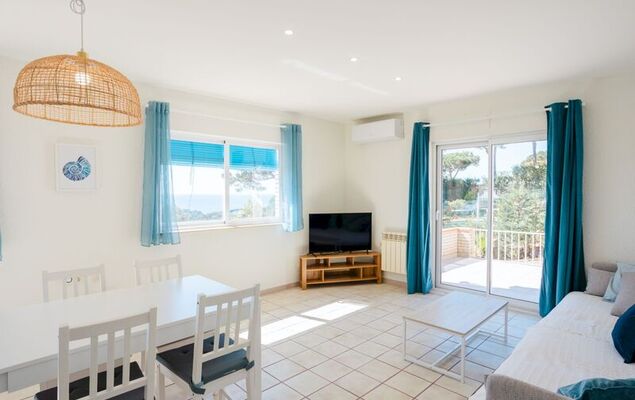 Lemon Azul - Photo 11