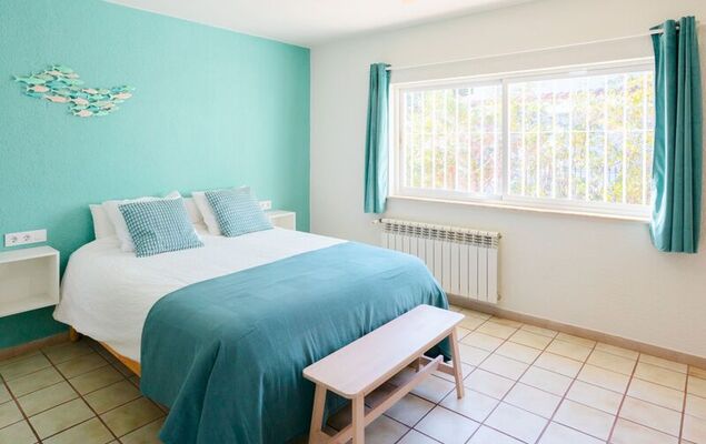 Lemon Azul - Photo 17