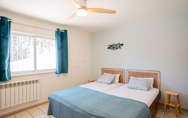 Lemon Azul - Photo 20