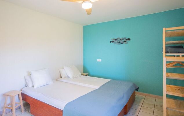 Lemon Azul - Photo 21