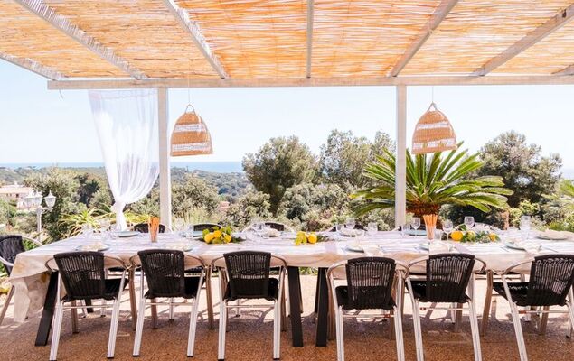 Lemon Azul - Photo 25