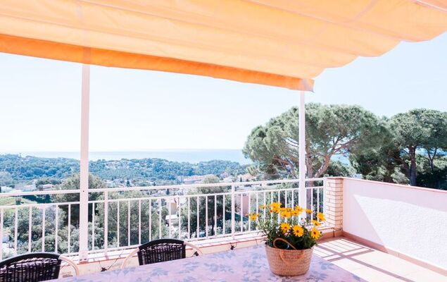 Lemon Azul - Photo 27