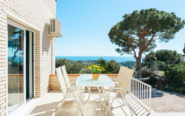 Lemon Azul - Photo 28