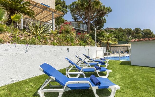 Lemon Azul - Photo 31