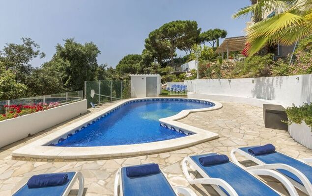 Lemon Azul - Photo 32