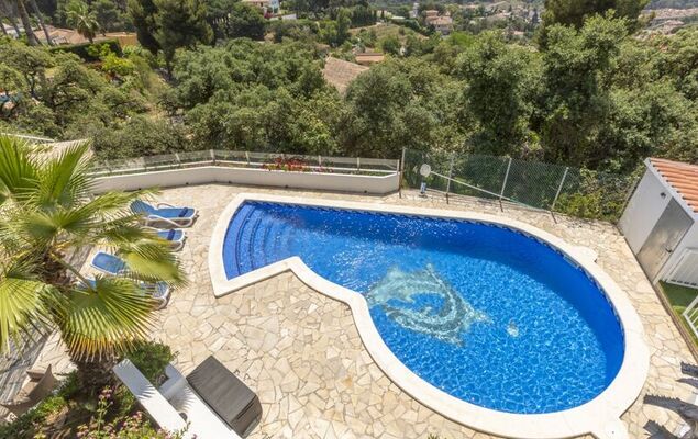 Lemon Azul - Photo 34