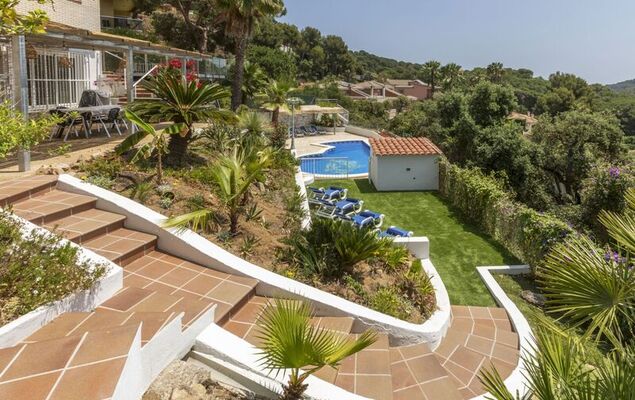 Lemon Azul - Photo 35