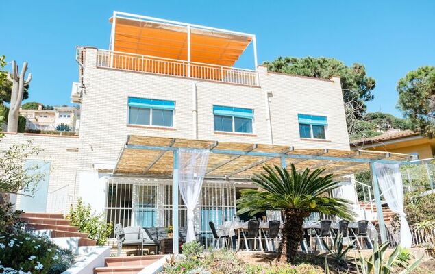 Lemon Azul - Photo 36