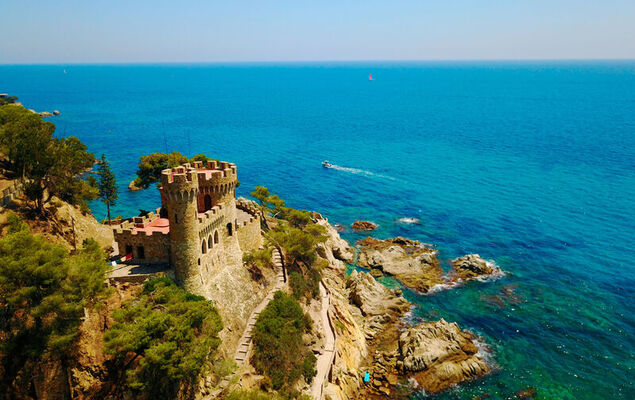 Lemon Azul - Photo 39