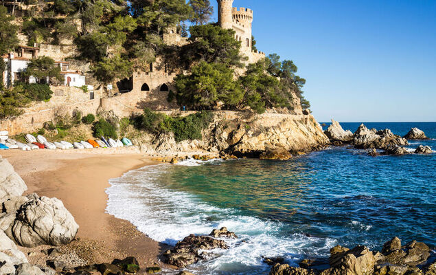 Lemon Azul - Photo 40