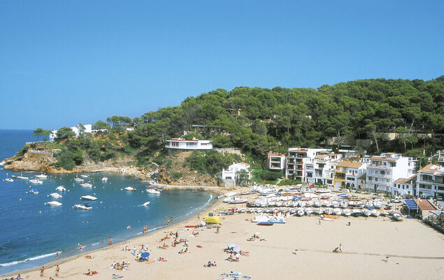 Bellavista Dell'Emilia - Photo 22