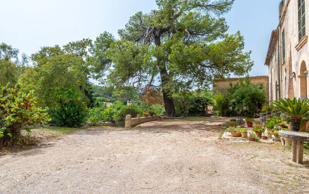 Sa Bisbal - Photo 31