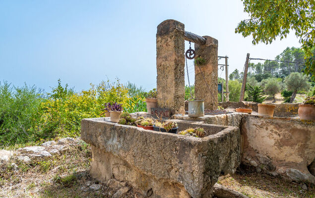 Sa Bisbal - Photo 38