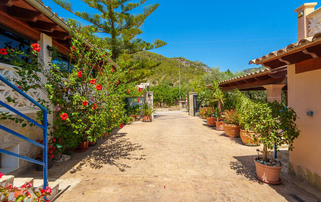 Cas Pobler - Photo 40