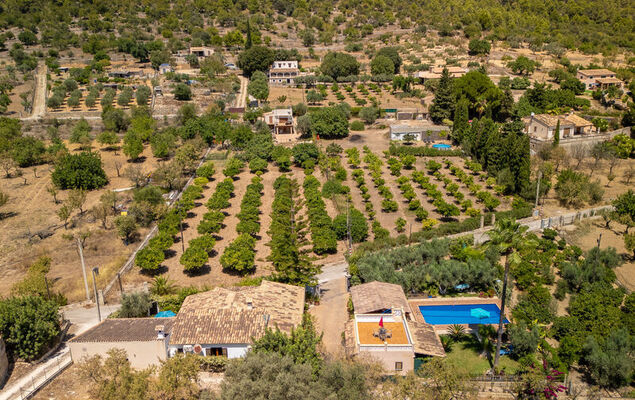 Cas Pobler - Photo 42