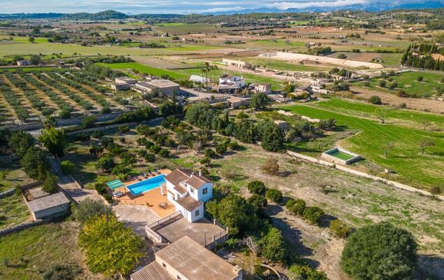 Son Alcaines Sineu - Photo 38