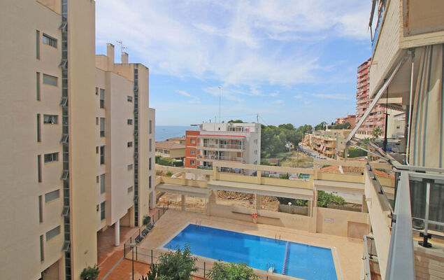 Plaza Mayor - Photo 16